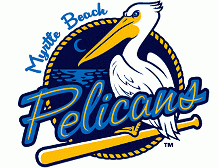Myrtle Beach Pelicans 2006-pres primary logo iron on transfers for T-shirts
